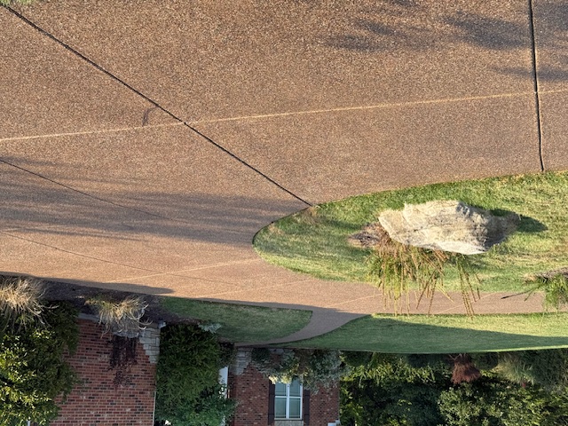 Professional sealed concrete driveway